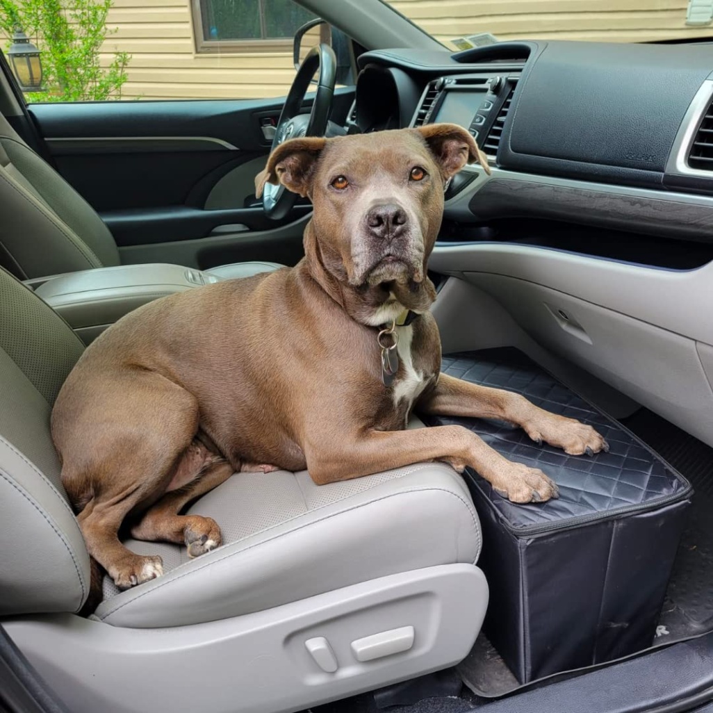 dog car accessories Niche Utama Home Front Seat Dog Extender and Car Storage  Prevents Your Dog from Falling  Off The Front Seat While Driving  Dog Travel Accessories  Dog Car