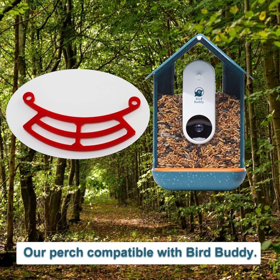 Get Your Feathered Friend Looking Fly With These Must-have Bird Buddy Accessories!